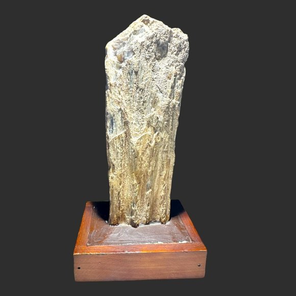 PETRIFIED WOOD NORTH DAKOTA BADLANDS ON VINTAGE HANDMADE STAND - Picture 5 of 12